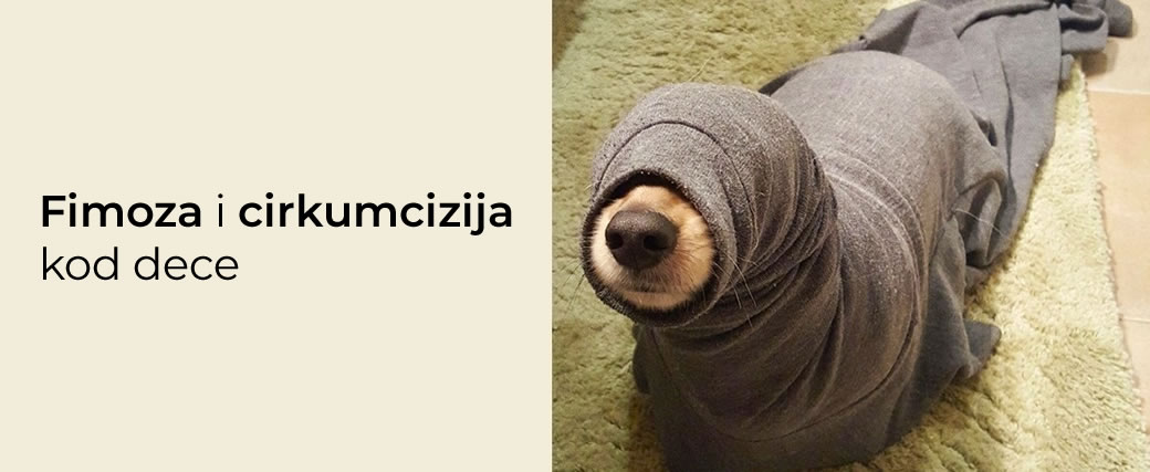 Fimoza i cirkumcizija kod dece