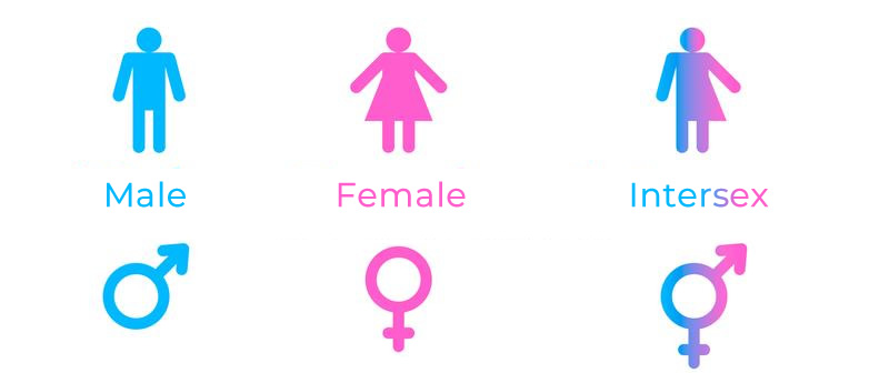 Intersex person